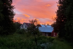 surbu_82